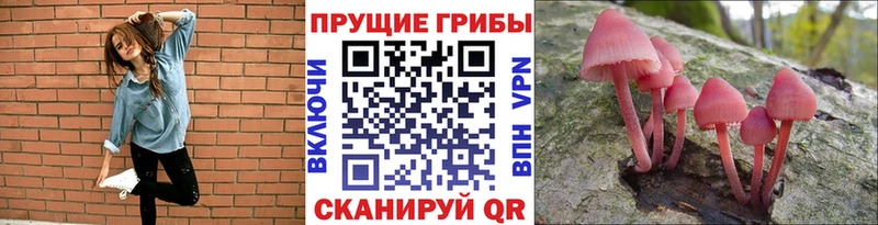 Галлюциногенные грибы ЛСД  МЕГА онион  Сокол  дарнет шоп 