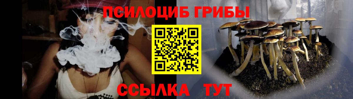 Галлюциногенные грибы прущие грибы Сокол
